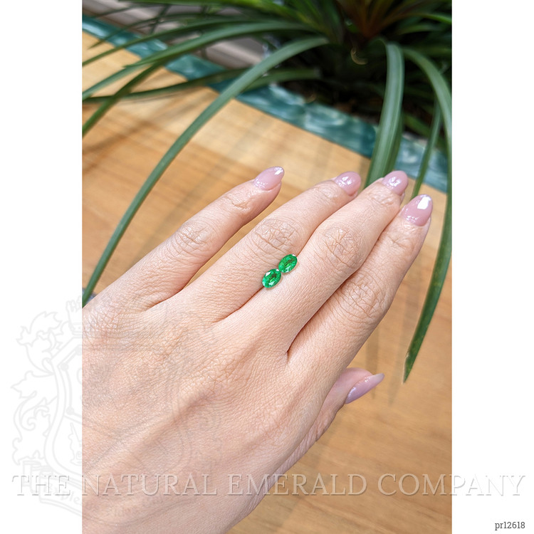 0.98 Ct.Tw. Emerald Pair from Zambia