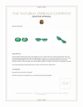 0.99 Ct.Tw.Total Carat Weight Emerald Pair from Zambia Appraisal