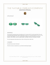 0.99 Ct.Tw.Total Carat Weight Emerald Pair from Zambia Appraisal