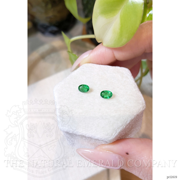 0.99 Ct.Tw. Emerald Pair from Zambia
