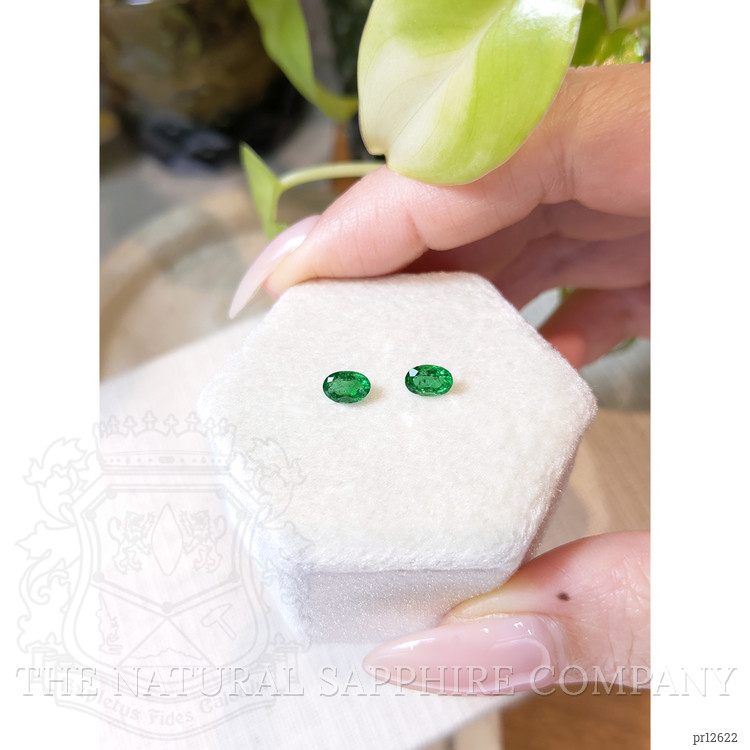 0.73 Ct.Tw. Emerald Pair from Zambia