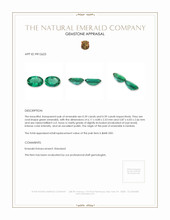 0.78 Ct.Tw.Total Carat Weight Emerald Pair from Zambia Appraisal