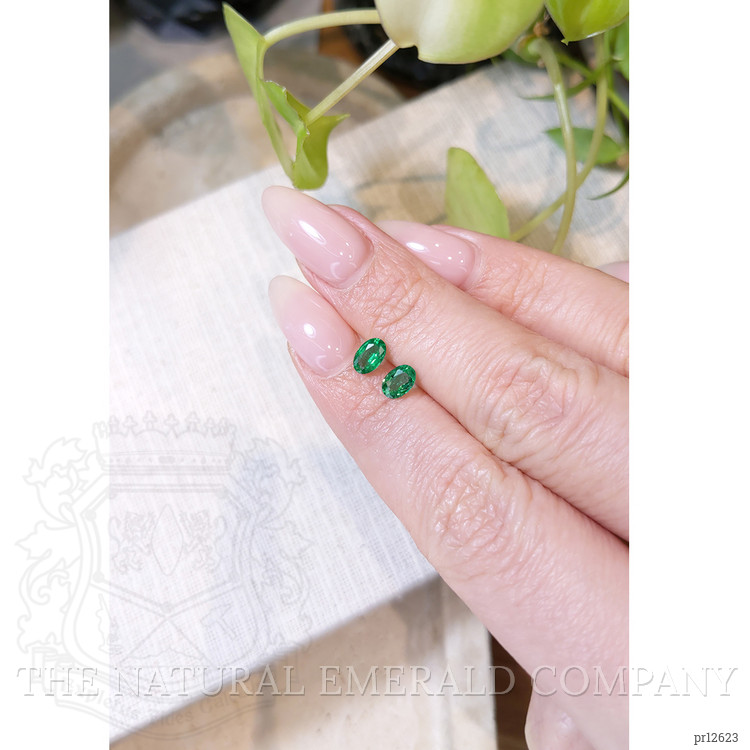 0.78 Ct.Tw. Emerald Pair from Zambia