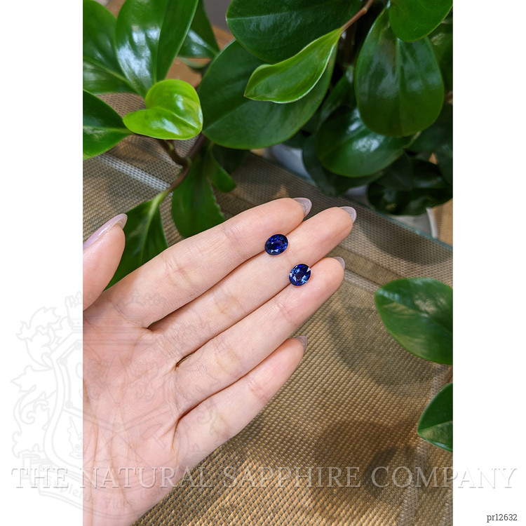 3.64 Ct.Tw. Blue Sapphire Pair from Ceylon (Sri Lanka)