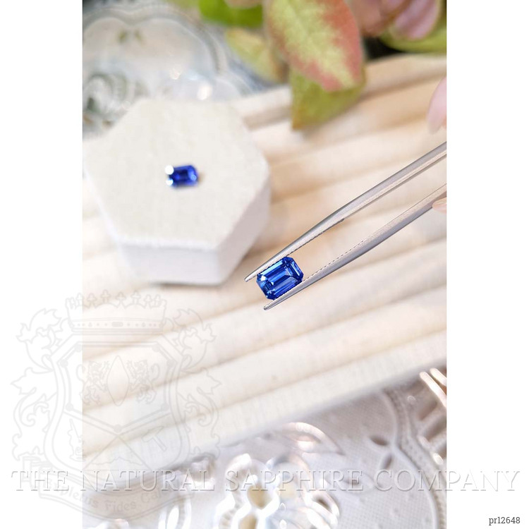 2.98 Ct.Tw. Blue Sapphire Pair from Ceylon (Sri Lanka)