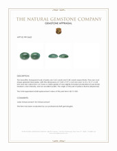 11.21 Ct.Tw.Total Carat Weight Cabochon Jade Pair from Burma (Myanmar) Appraisal