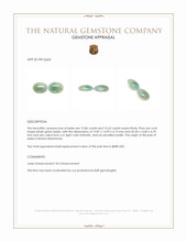 25.48 Ct.Tw.Total Carat Weight Bluish Green Cabochon Jade Pair from Burma (Myanmar) Appraisal