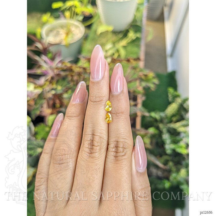 0.79 Ct.Tw. Yellow Sapphire Pair from Ceylon (Sri Lanka)