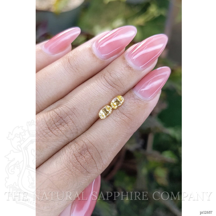 1.19 Ct.Tw. Yellow Sapphire Pair from Ceylon (Sri Lanka)