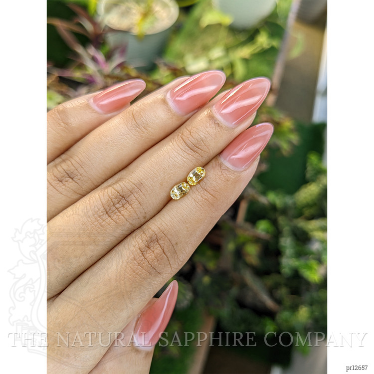 1.19 Ct.Tw. Yellow Sapphire Pair from Ceylon (Sri Lanka)