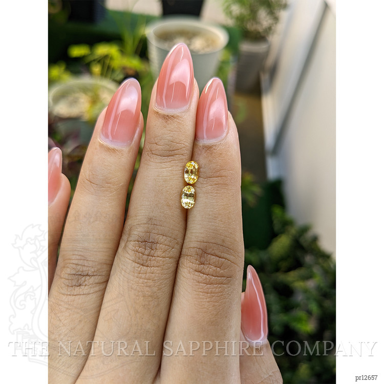 1.19 Ct.Tw. Yellow Sapphire Pair from Ceylon (Sri Lanka)