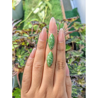 12.54&nbsp;Ct.Tw.Total Carat Weight Cabochon Jade Pair from Burma (Myanmar) Life Style