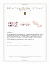 3.63 Ct.Tw.Total Carat Weight Peach Morganite Pair from Brazil Appraisal