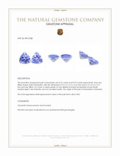 0.55 Ct.Tw.Total Carat Weight Violet Tanzanite Pair from Tanzania Appraisal