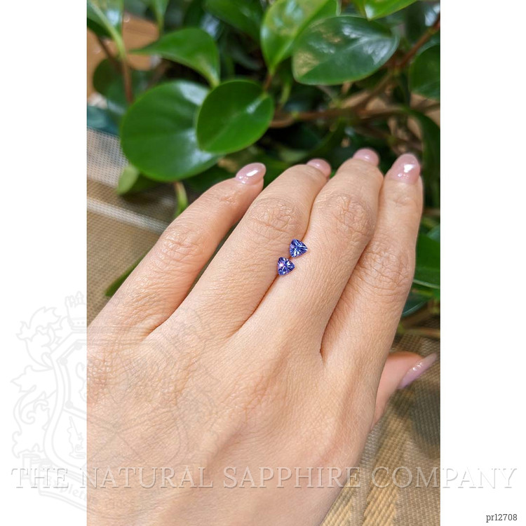 0.55 Ct.Tw. Tanzanite Pair from Tanzania