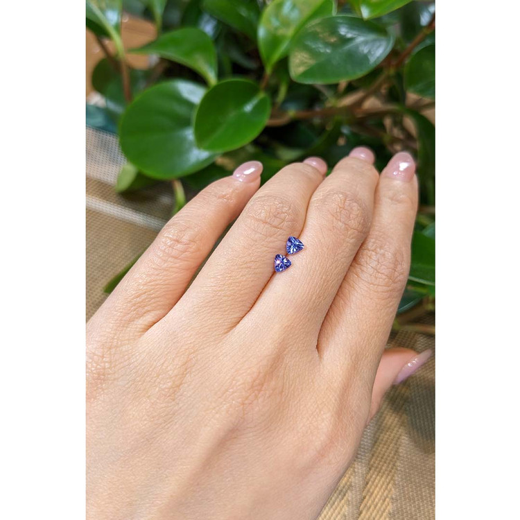 0.55 Ct.Tw. Tanzanite Pair from Tanzania