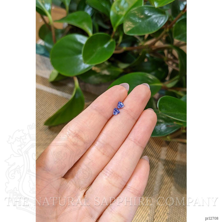 0.55 Ct.Tw. Tanzanite Pair from Tanzania
