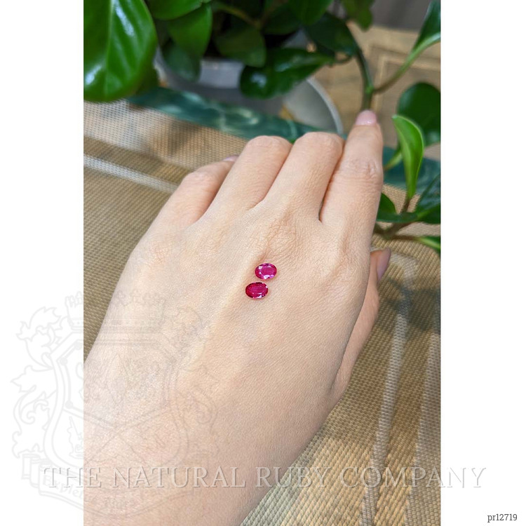 1.01 Ct.Tw. Ruby Pair from Mozambique