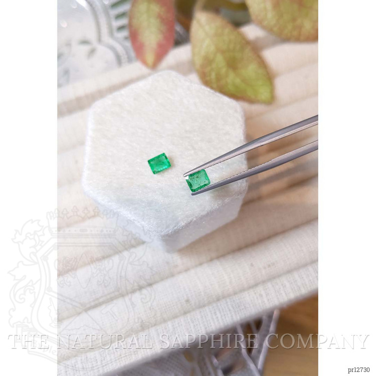 0.73 Ct.Tw. Emerald Pair from Colombia