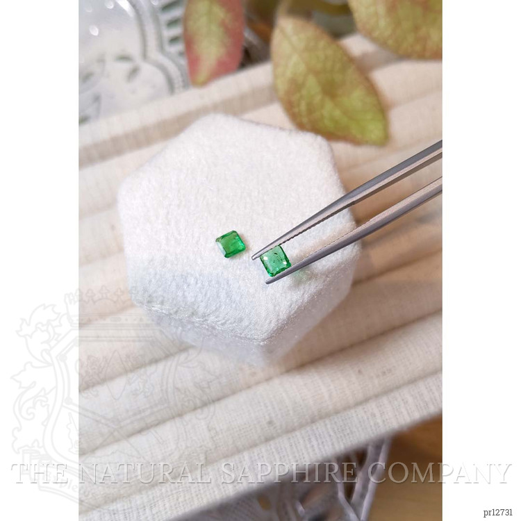 0.67 Ct.Tw. Emerald Pair from Colombia