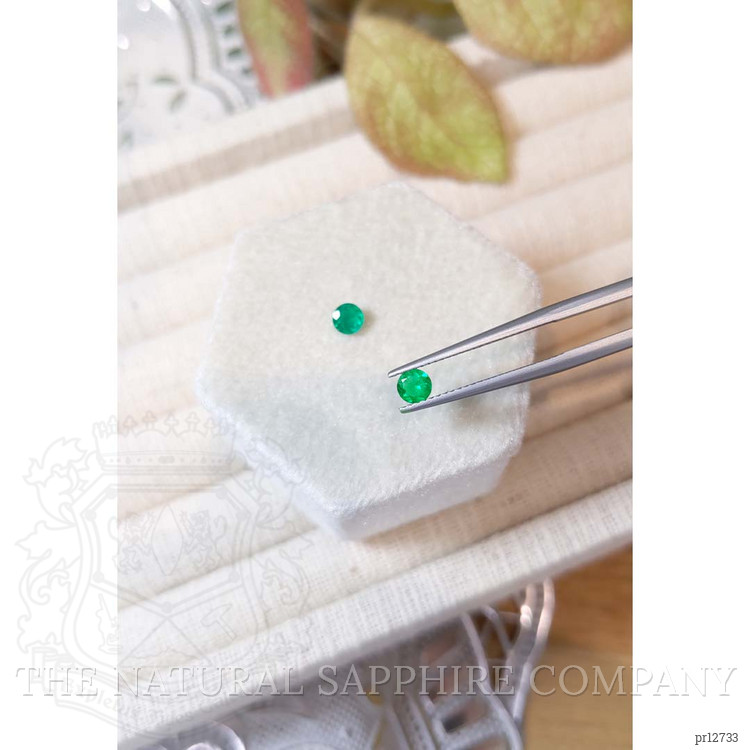 0.45 Ct.Tw. Emerald Pair from Colombia