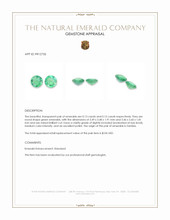 0.26&nbsp;Ct.Tw.Total Carat Weight Emerald Pair from Zambia Appraisal