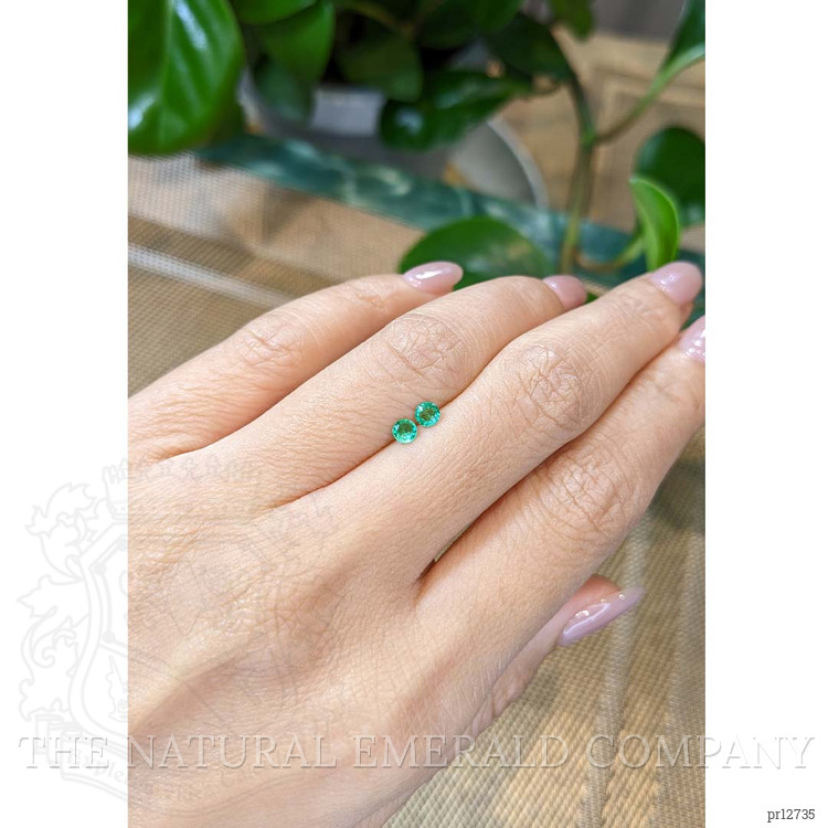 0.26 Ct.Tw. Emerald Pair from Zambia
