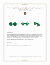 0.45&nbsp;Ct.Tw.Total Carat Weight Emerald Pair from Colombia Appraisal