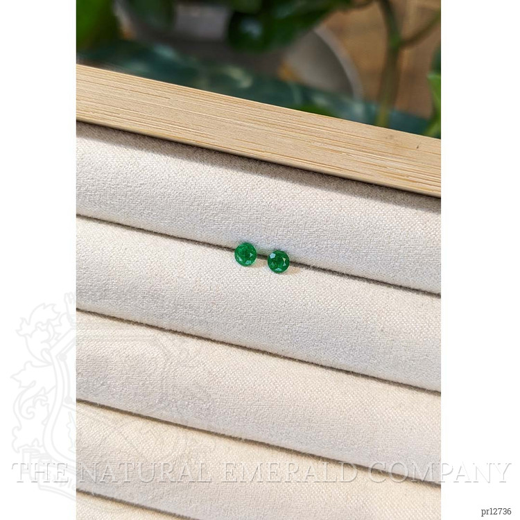 0.45 Ct.Tw. Emerald Pair from Colombia