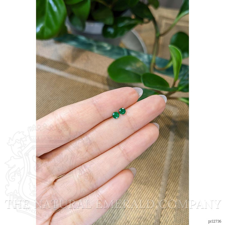 0.45 Ct.Tw. Emerald Pair from Colombia