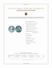 Jewelry Scan Report