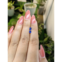 0.68&nbsp;Ct.Tw.Total Carat Weight Blue Sapphire Pair from Ceylon (Sri Lanka) Life Style