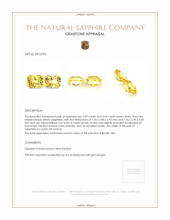 4.13 Ct.Tw.Total Carat Weight Yellow Sapphire Pair from Ceylon (Sri Lanka) Appraisal