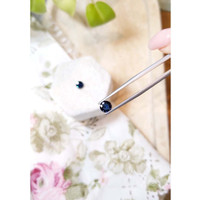 1.63&nbsp;Ct.Tw.Total Carat Weight Blue Sapphire Pair from Ceylon (Sri Lanka) Life Style