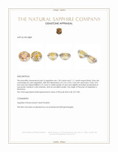 2.20 Ct.Tw.Total Carat Weight Bi Color Sapphire Pair from Montana Appraisal