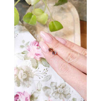 2.12 Ct.Tw.Total Carat Weight Bi Color Sapphire Pair from Montana Life Style