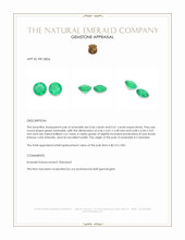 1.27&nbsp;Ct.Tw.Total Carat Weight Emerald Pair from Colombia Appraisal