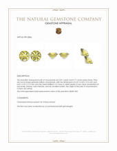 1.58&nbsp;Ct.Tw.Total Carat Weight Chrysoberyl Pair from Ceylon (Sri Lanka) Appraisal