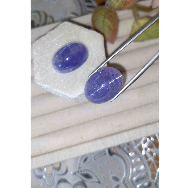 59.67 Ct.Tw. Cabochon Tanzanite Pair from Tanzania
