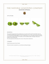 5.51 Ct.Tw.Total Carat Weight Yellowish Green Peridot Pair from Burma (Myanmar) Appraisal