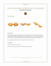 24.40 Ct.Tw.Total Carat Weight Yellowish Orange Citrine Pair from Brazil Appraisal