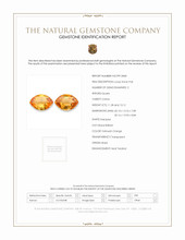 24.40&nbsp;Ct.Tw.Total Carat Weight Citrine Pair from Brazil Scan Report