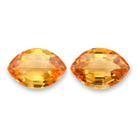 24.40&nbsp;Ct.Tw.Total Carat Weight Citrine Pair from Brazil Video