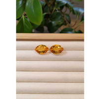 24.40 Ct.Tw.Total Carat Weight Citrine Pair from Brazil Life Style