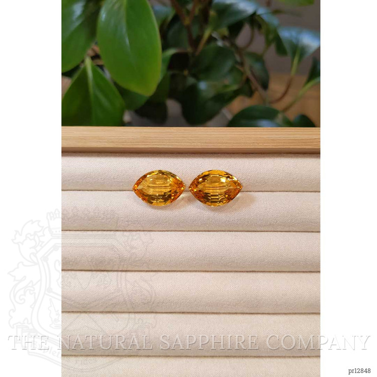 24.40 Ct.Tw. Citrine Pair from Brazil
