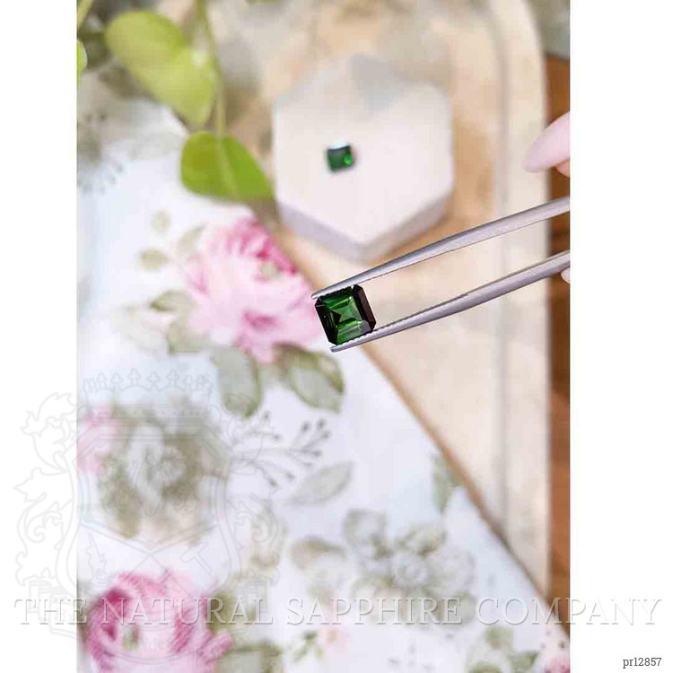 3.17 Ct.Tw. Green Tourmaline Pair from Mozambique
