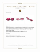 1.01&nbsp;Ct.Tw.Total Carat Weight Rubellite Tourmaline Pair from Brazil Appraisal