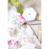 1.01 Ct.Tw.Total Carat Weight Rubellite Tourmaline Pair from Brazil Life Style