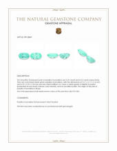 0.46&nbsp;Ct.Tw.Total Carat Weight Paraiba Tourmaline Pair from Brazil Appraisal