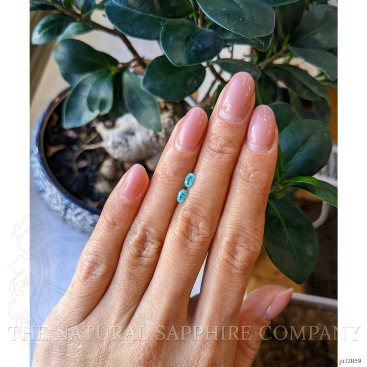 0.46 Ct.Tw. Paraiba Tourmaline Pair from Brazil